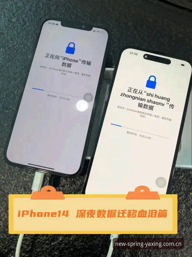 亚星娱乐春季版本更新怎么下载？数据迁移后旧版还能用吗？